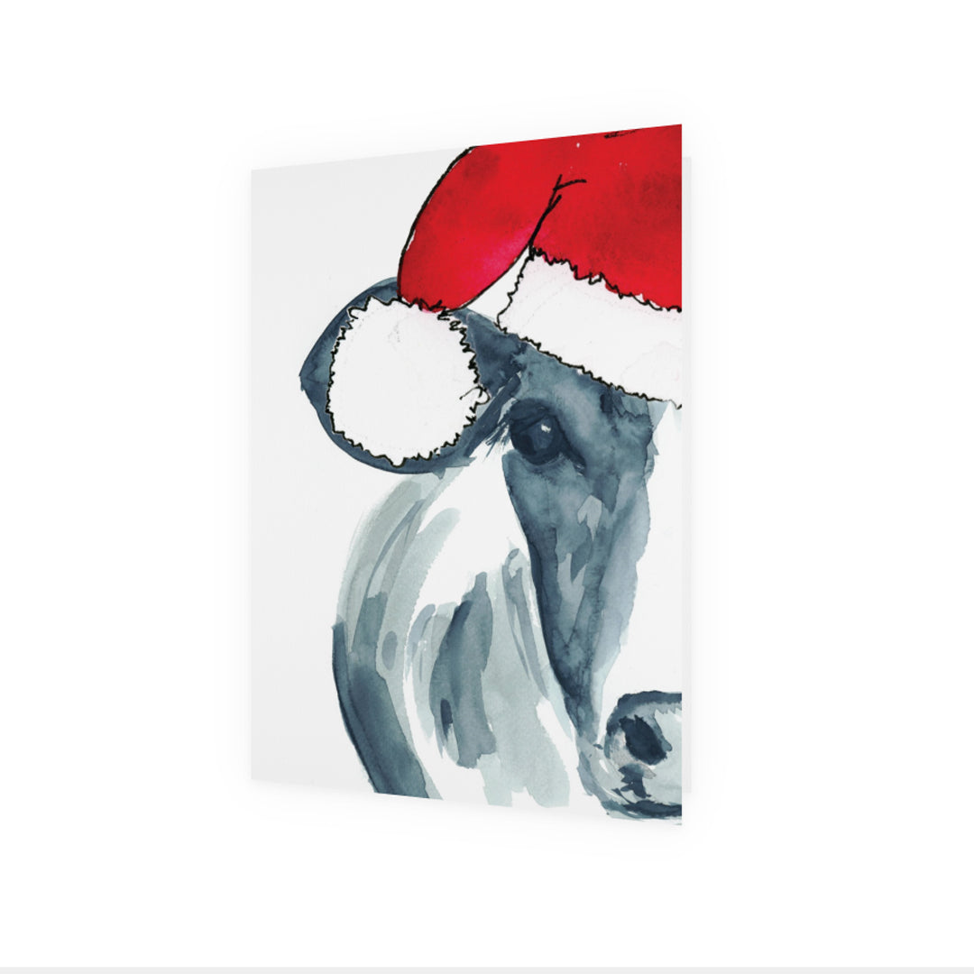 Blue Daisy wishes you Merry Christmas