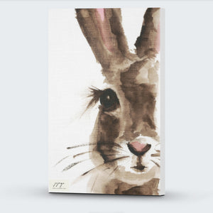 Some Bunny